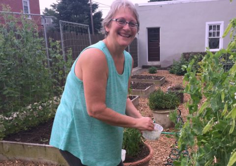 growing your own backyard vegetable garden is easy 